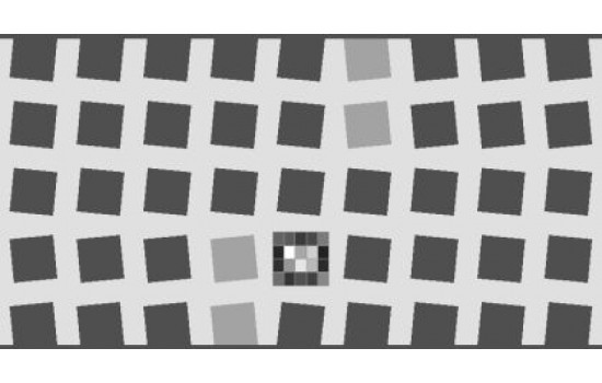 SFRplus Chart on Photographic Paper QI-SFR10-P-RM